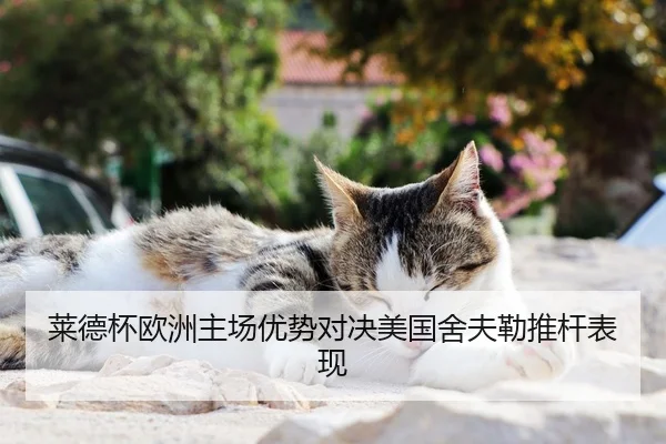 莱德杯欧洲主场优势对决美国舍夫勒推杆表现