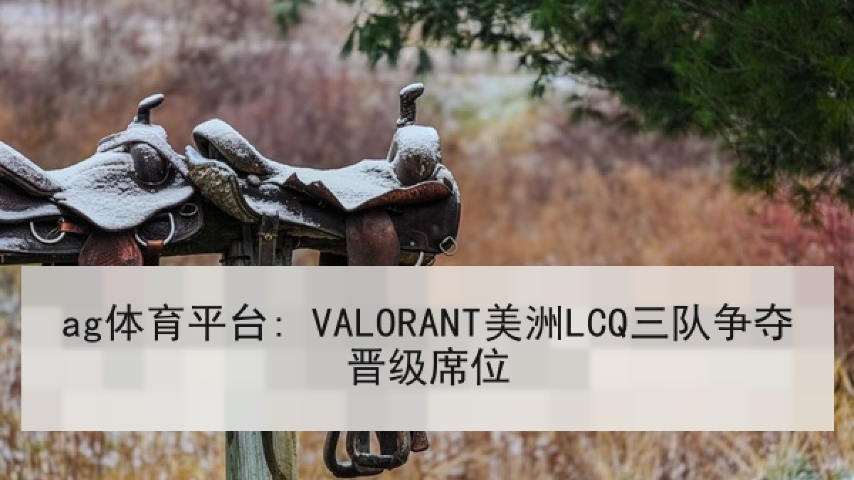 ag体育平台: VALORANT美洲LCQ三队争夺晋级席位 ag体育平台: VALORANT美洲LCQ三队争夺晋级席位