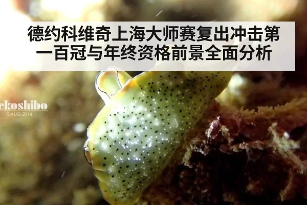德约科维奇上海大师赛复出冲击第一百冠与年终资格前景全面分析